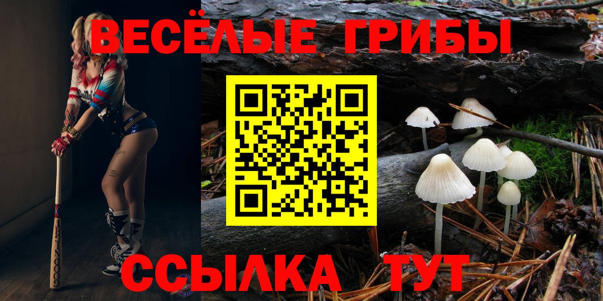 Псилоцибиновые грибы Psilocybine cubensis Шали
